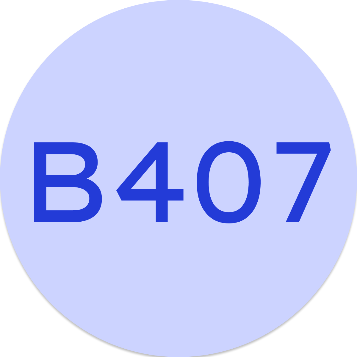B407 badge