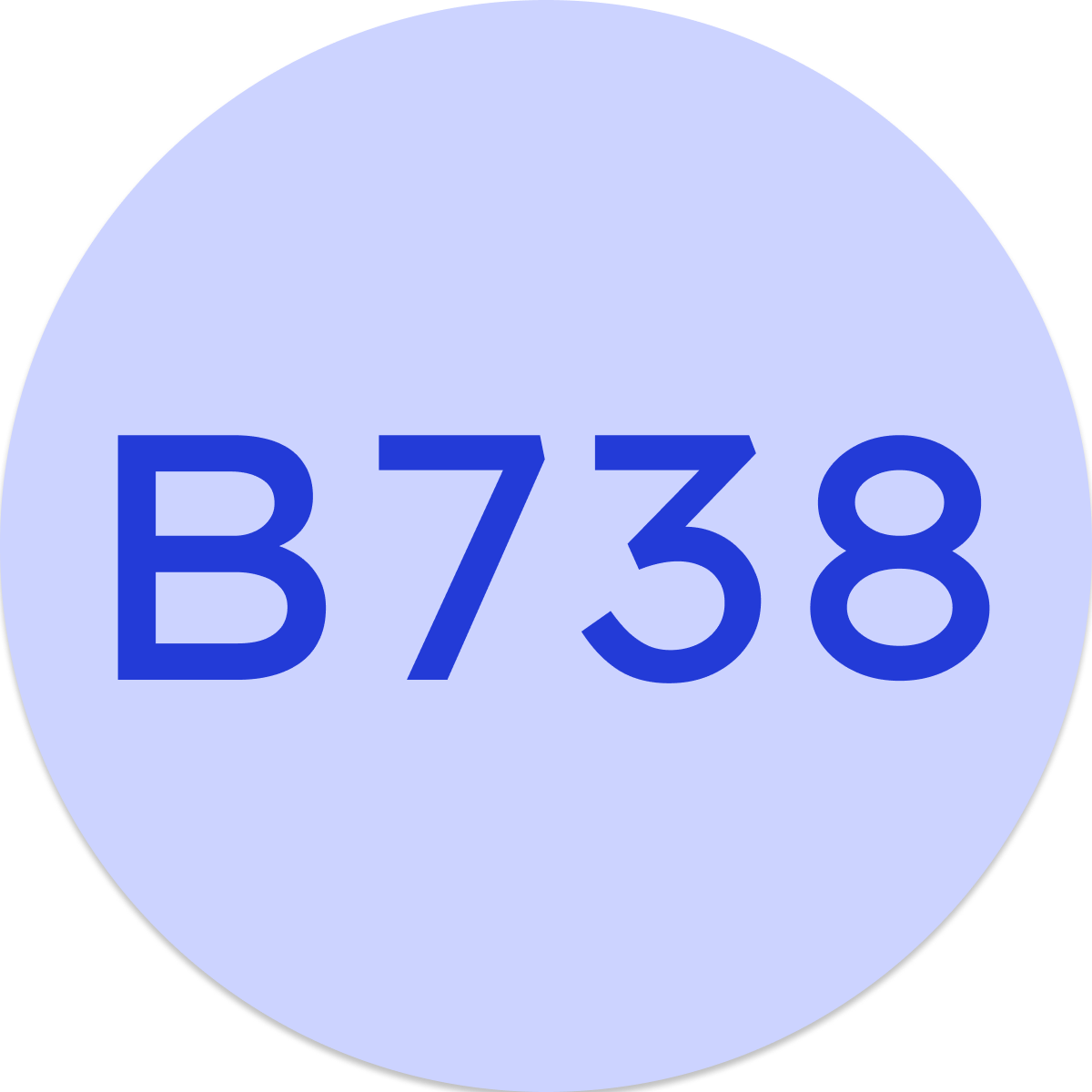 B738 badge