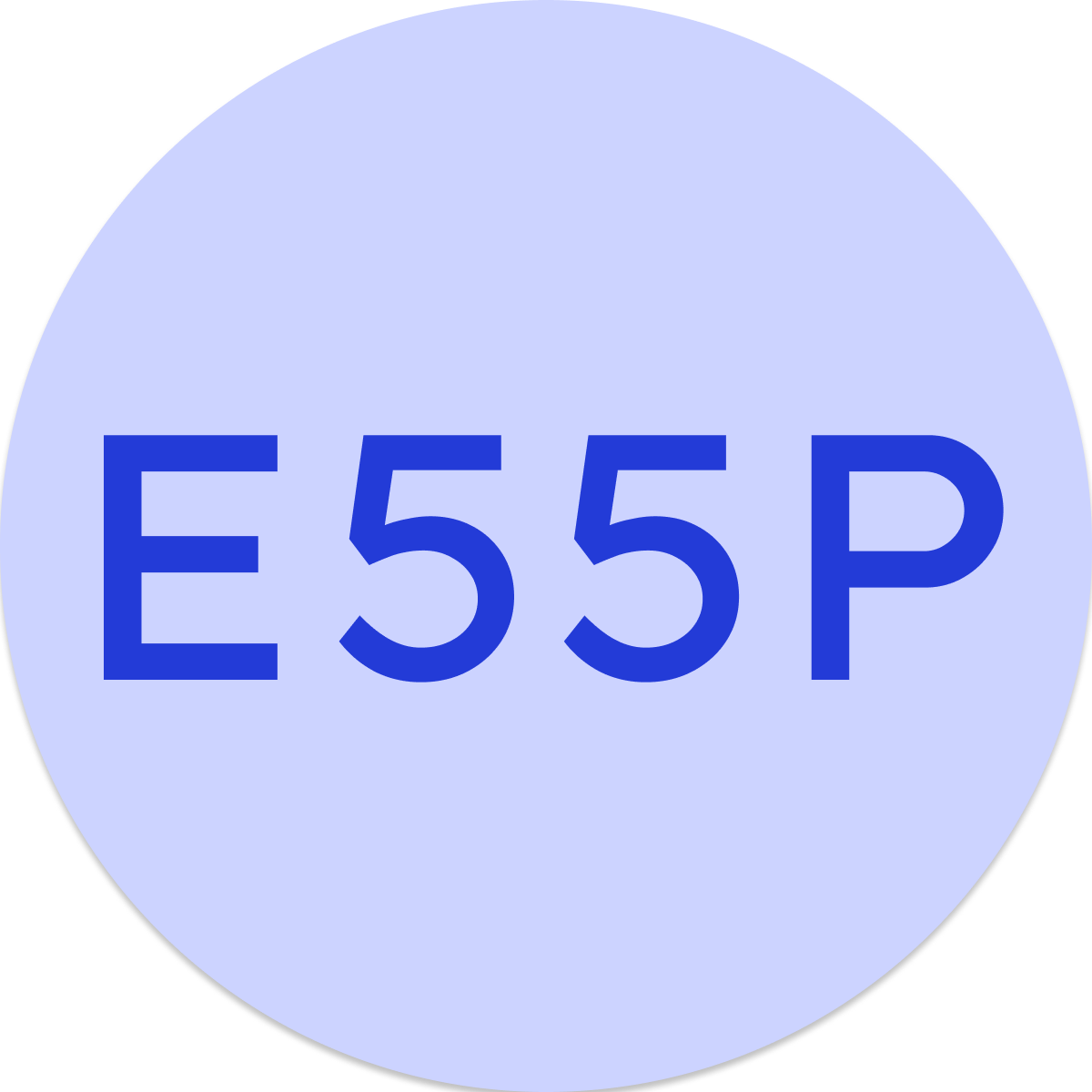 E55P badge