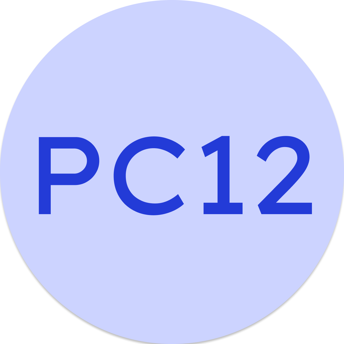PC12 badge